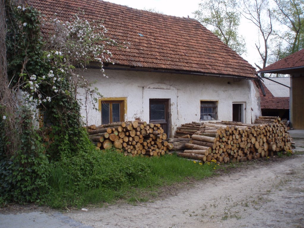 Holz vor der Hütte in Aholfing by augustsieben