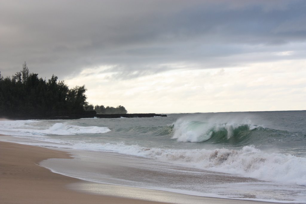 Heavy Surf at Lumaha'i Beach by hambons