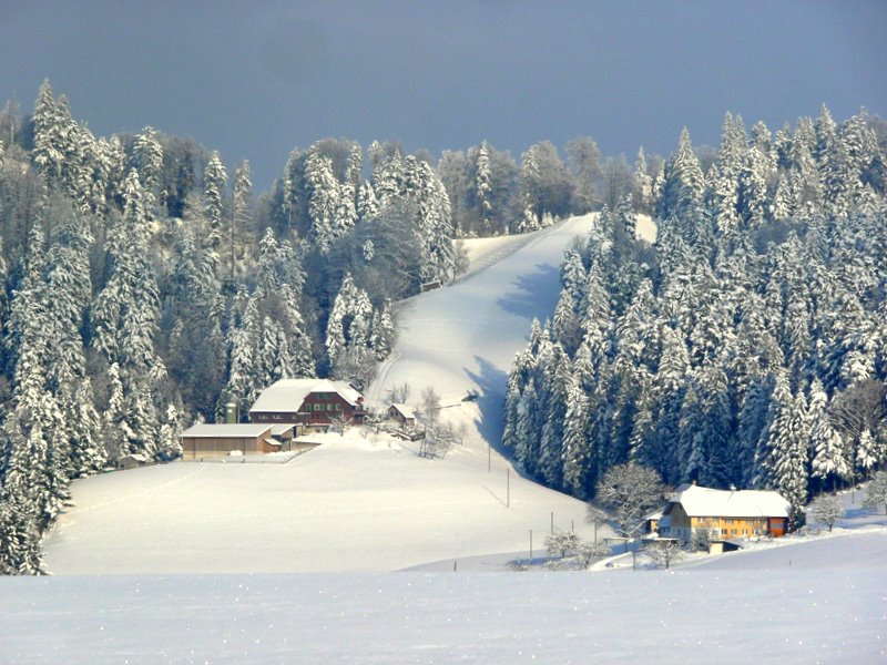 Mb - 13.12.08 - Virgin Snow - Frischer Schnee by ♫ Swissmay