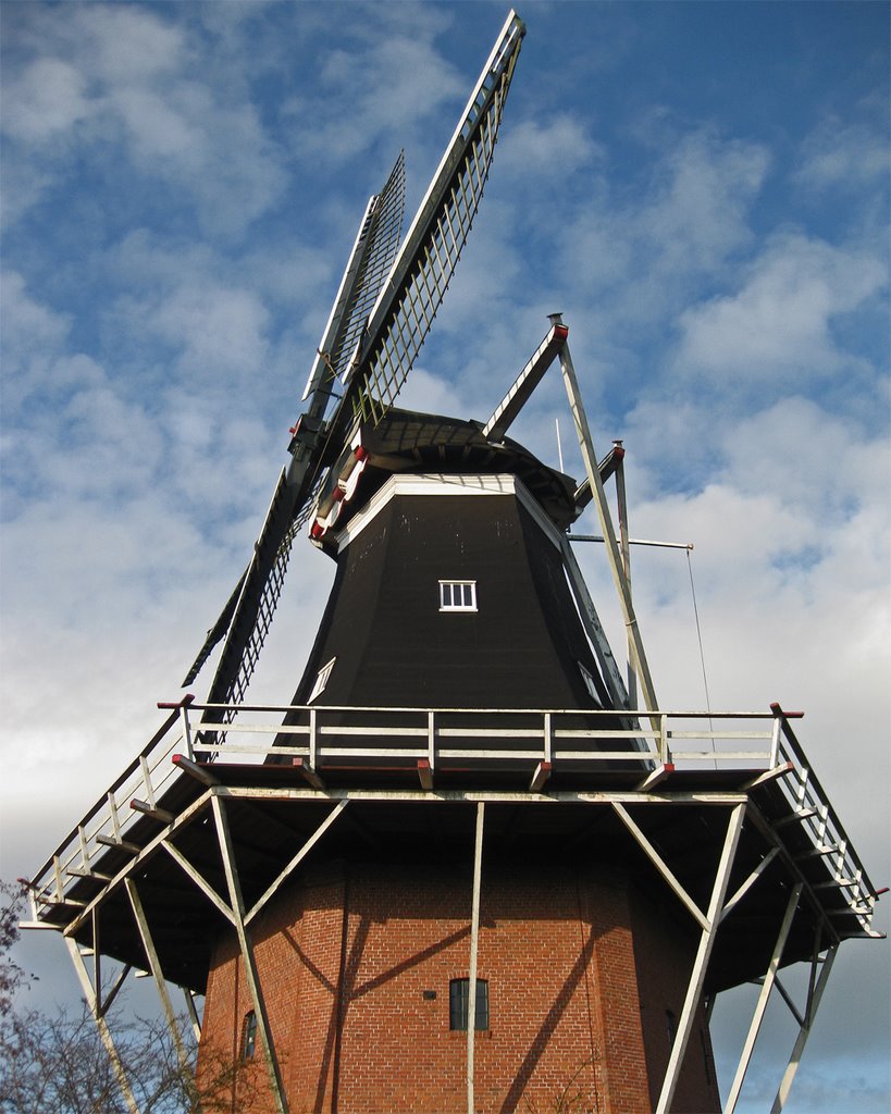 Zeskante molen by Edo W