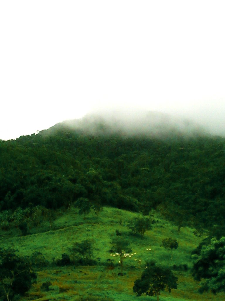 Morro com bois e nuvens by Deanne F.