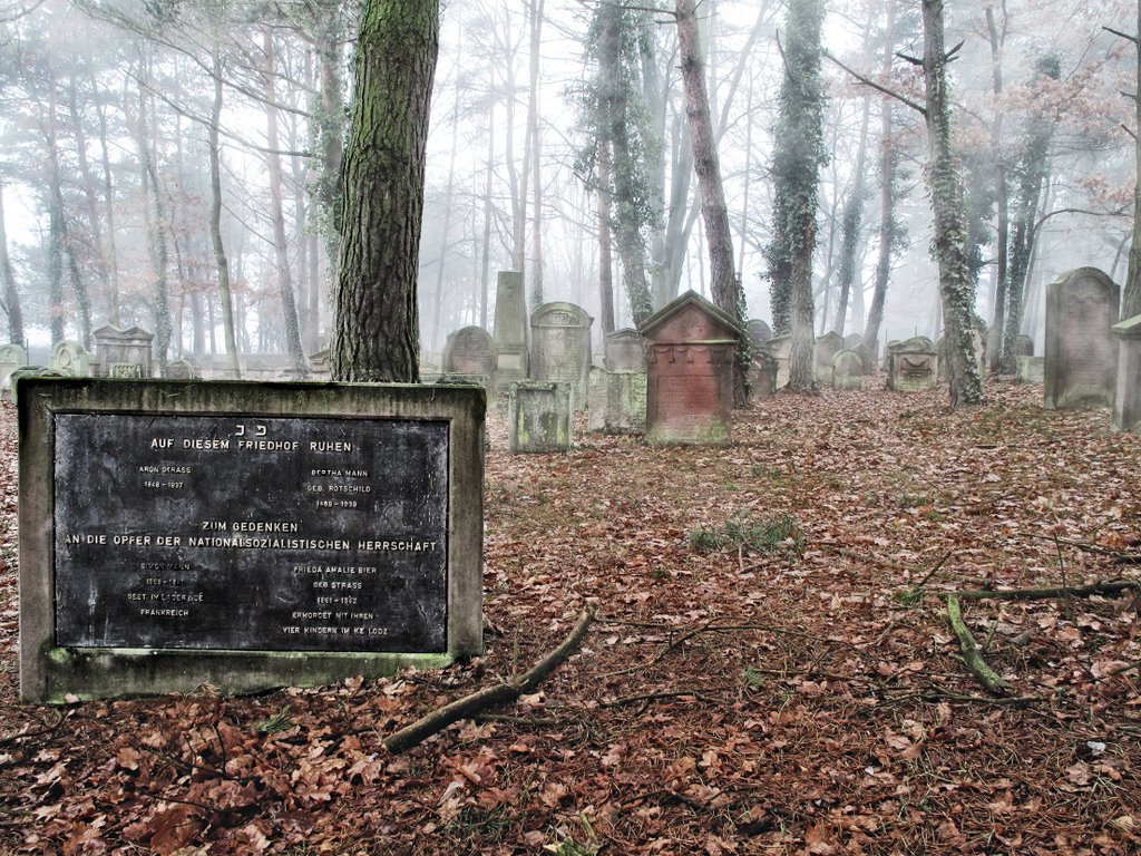 Judenfriedhof Mehlingen by Dirk Schneider