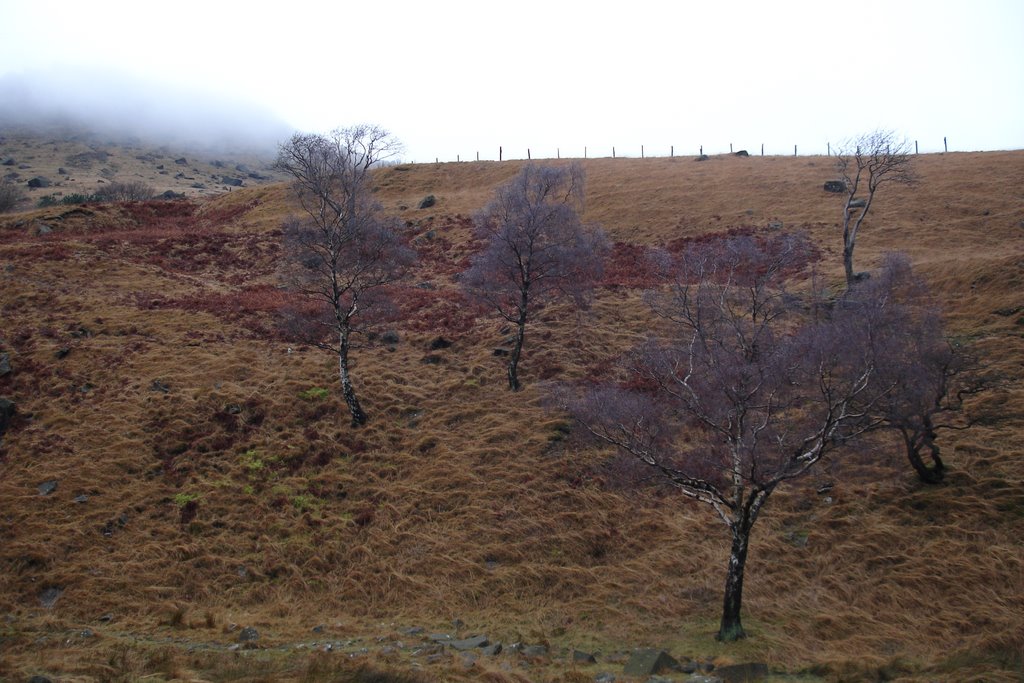 Near Dovestones by citizenandrew