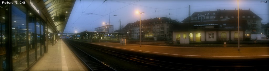 Hauptbahnhof Freiburg (Gleis 3) Panorama by QW1