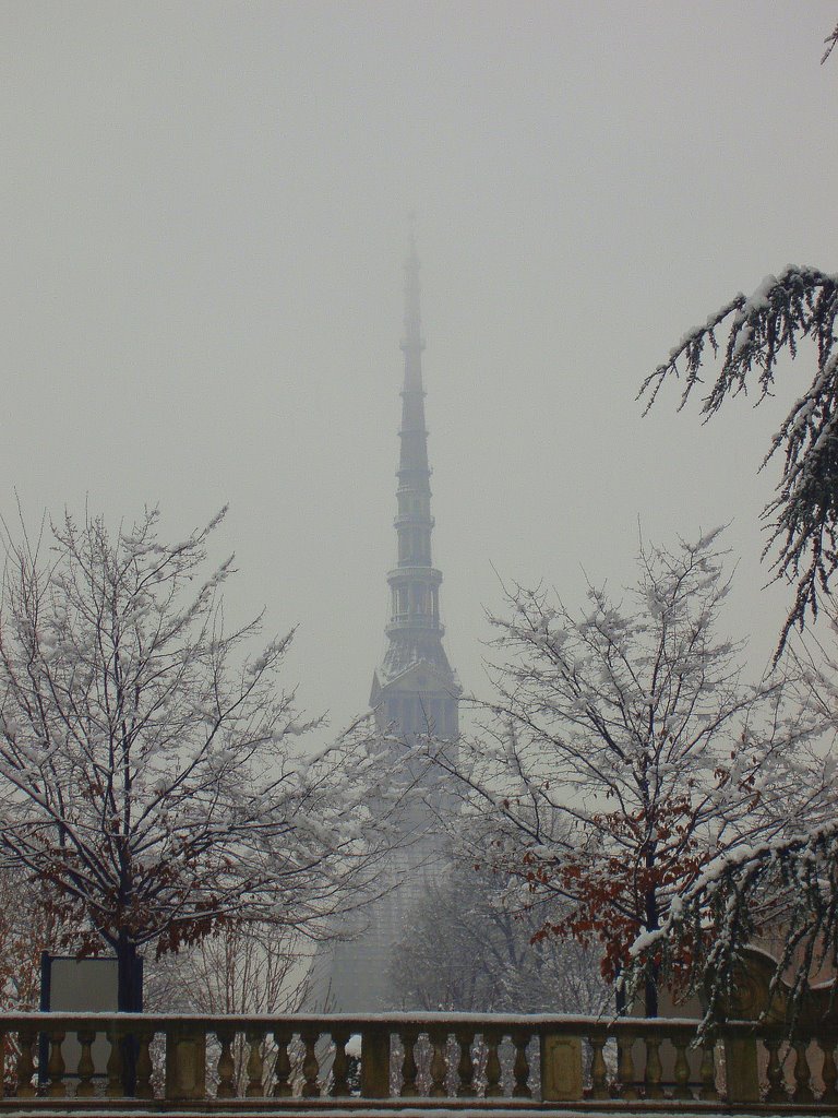 Un po' di neve sulla Mole by fiorina