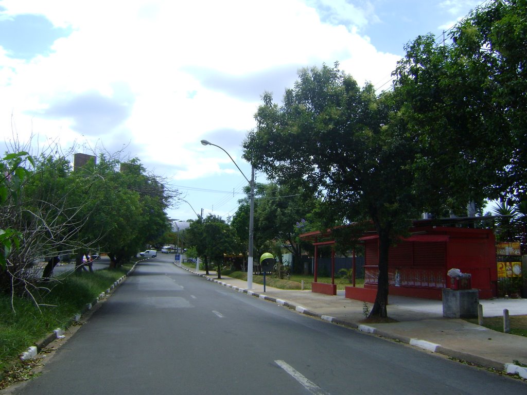 Vila Marieta - Av. Engenheiro Angelo Simões em direção ao Cemiterio da Saudades by Alexander Denarelli