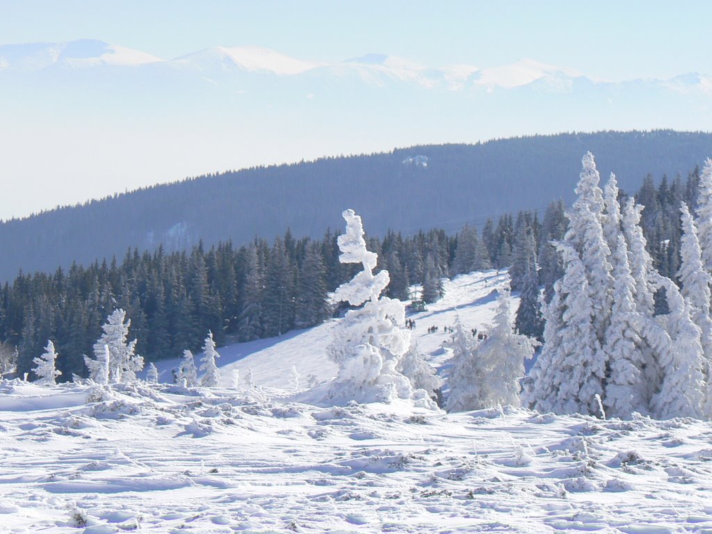 Planina Vitosha-Sofija by aleksmak