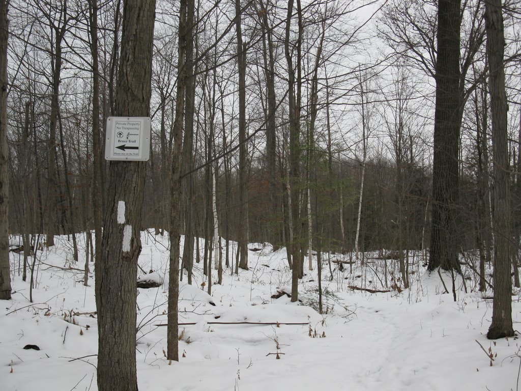 Bruce Trail - Speyside by amorgan