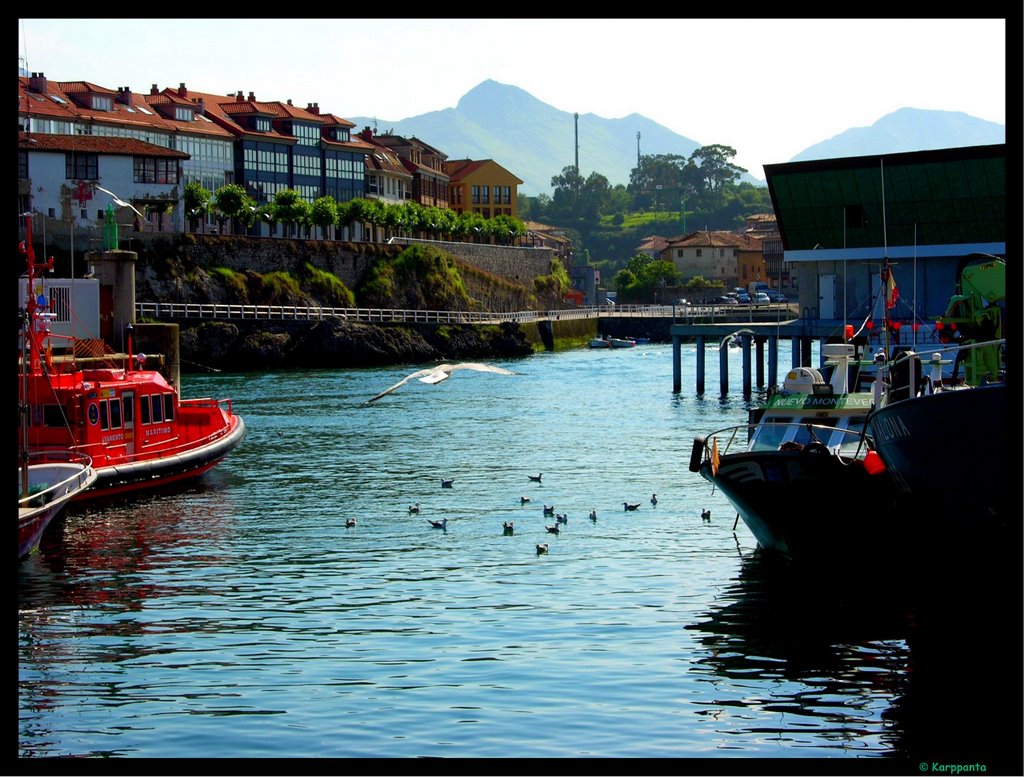 Puerto de Llanes by Karp Panta