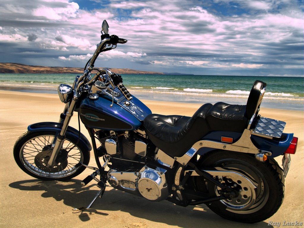 My Softail Custom @ Moana Beach by Rainer L