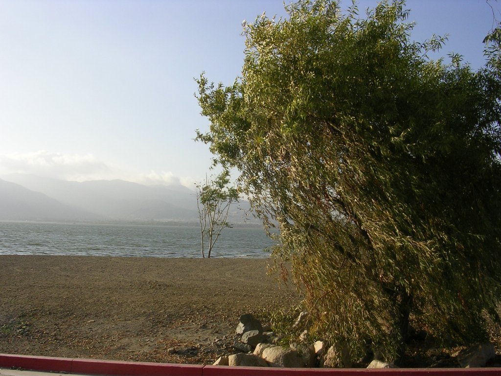 Breezy day at Lake Elsinore, 11/26/05 by scottVee