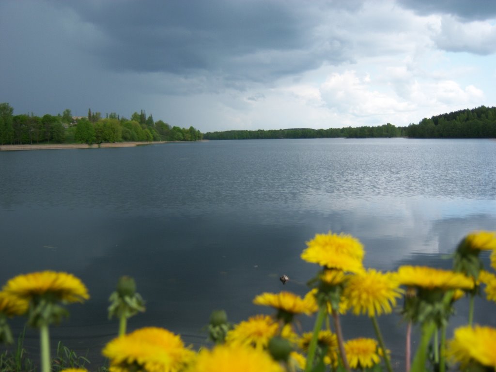 Rain is comming by vimplia