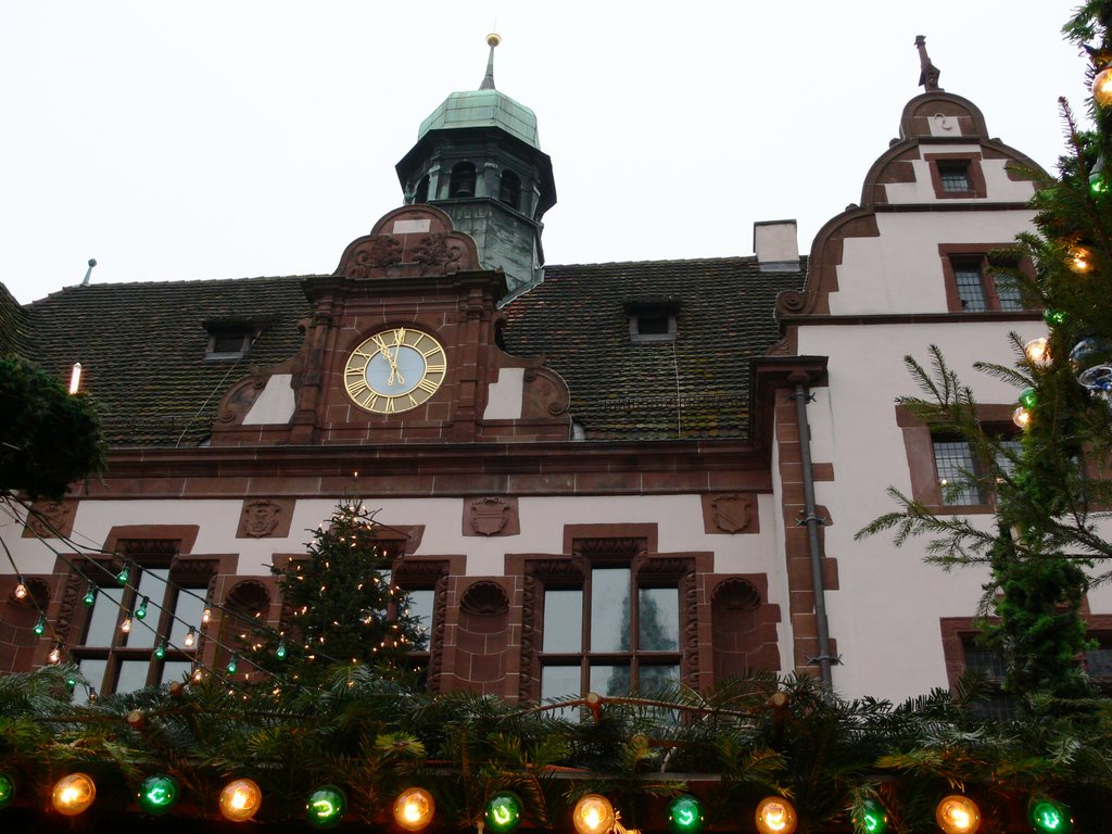 Freiburg im Breisgau - Gerichtslaube (Maison de la corporation des fous" (Musée du carnaval)) (Allemagne) by Naru Kenji