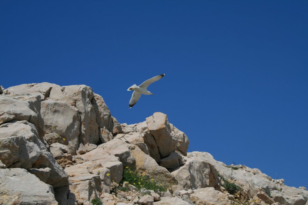 Pag, Croatia by majer63