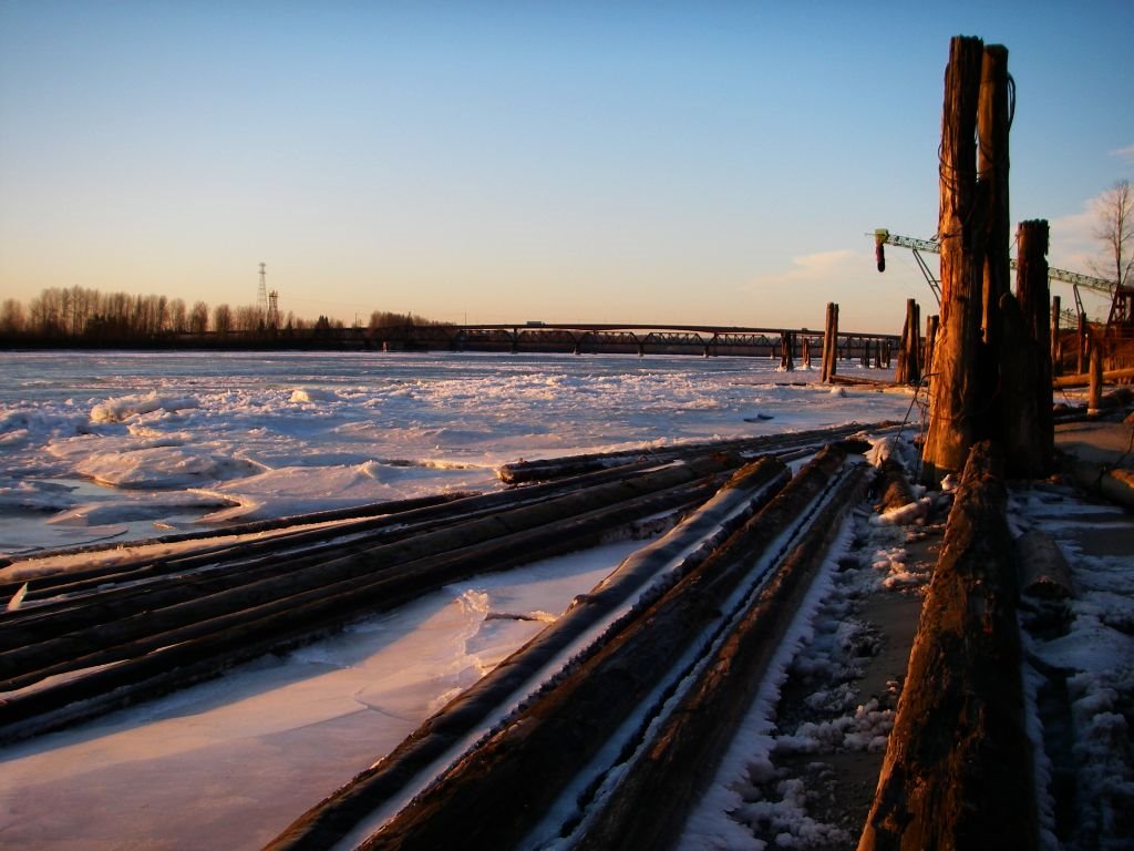 Boom sticks frozen in winters ice by David Knott