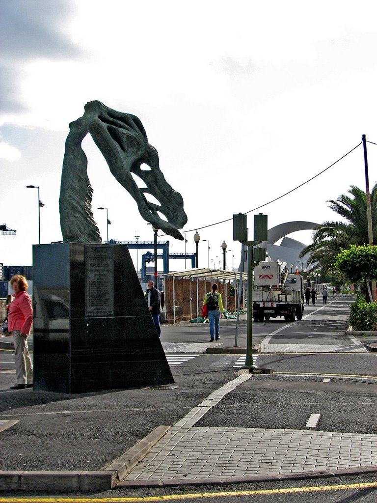 Autovía TF4. Arbórea, Santa Cruz. Tenerife. by Valentín Enrique