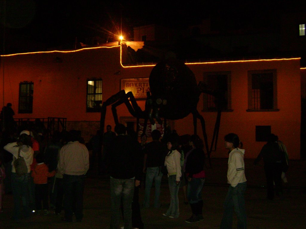 Insectos invaden la Plaza de las Ranas by J. Eduardo Morales