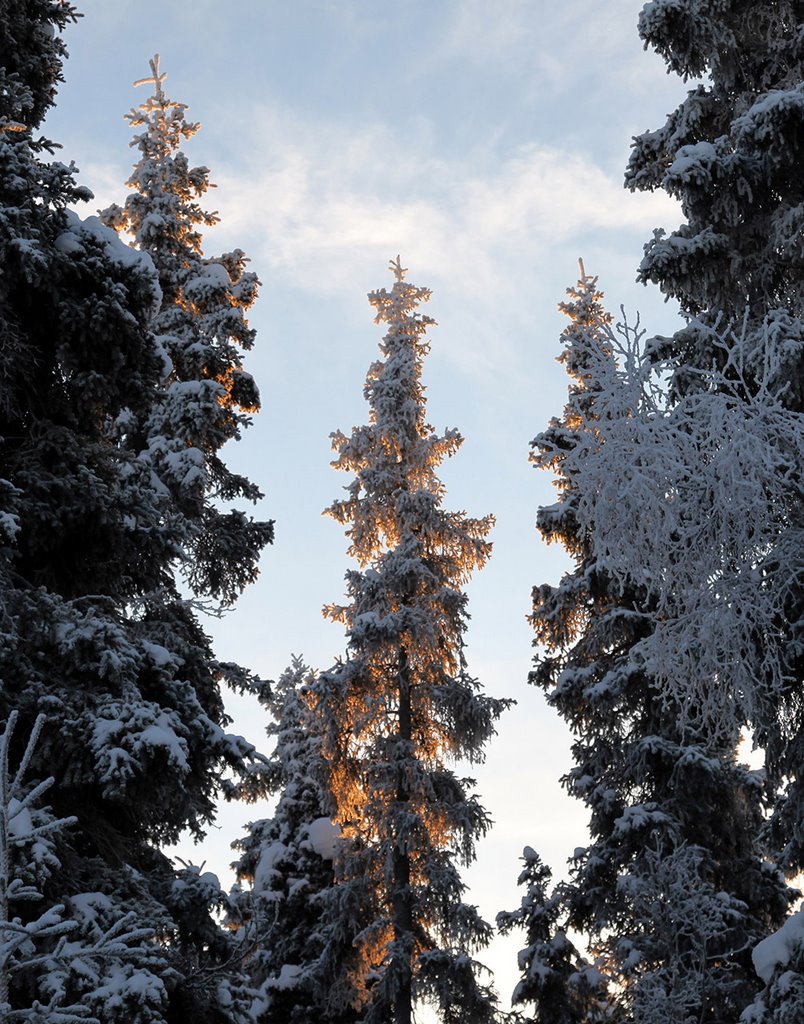 Campbell Park, Anchorage, AK, USA by d thorne