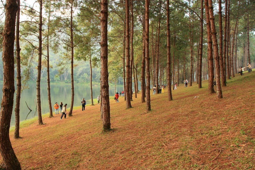 Pang Ung, Mae Hon Son,Thailand by wuttiwong