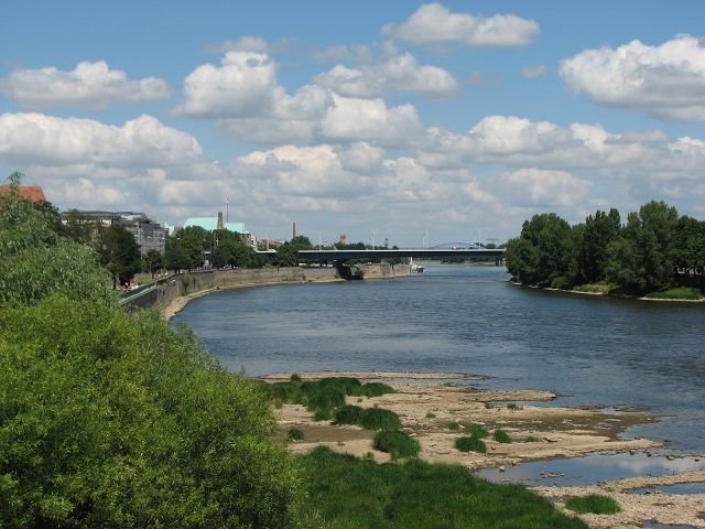 Elbblick Magdeburg by M.T.