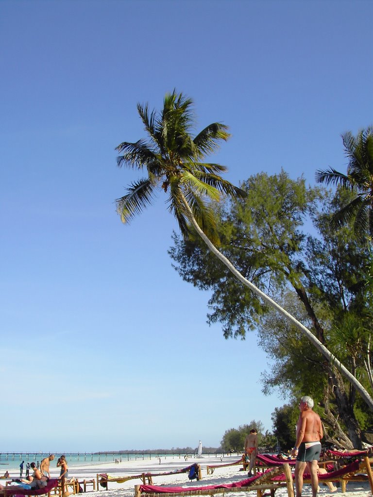 Spiaggia Kiwengwa Zanzibar by daniele.bertuccelli