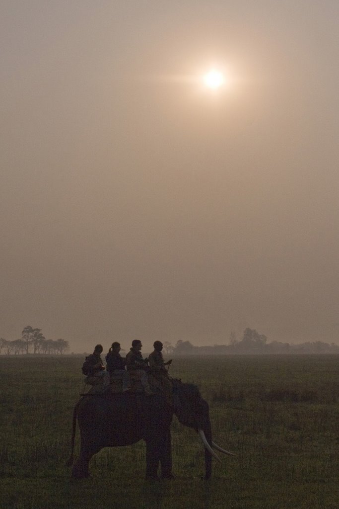 Panorama parco Kaziranga - Assam India by Marco Cavani