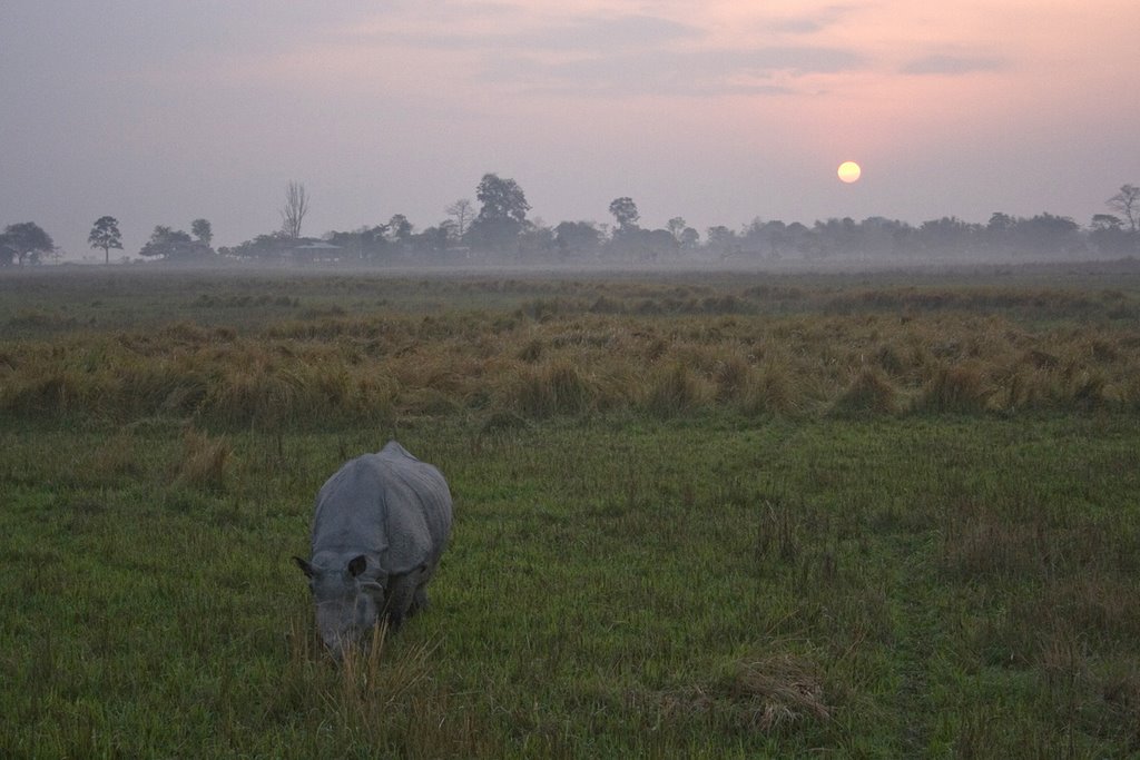 Panorama parco Kaziranga - Assam India by Marco Cavani