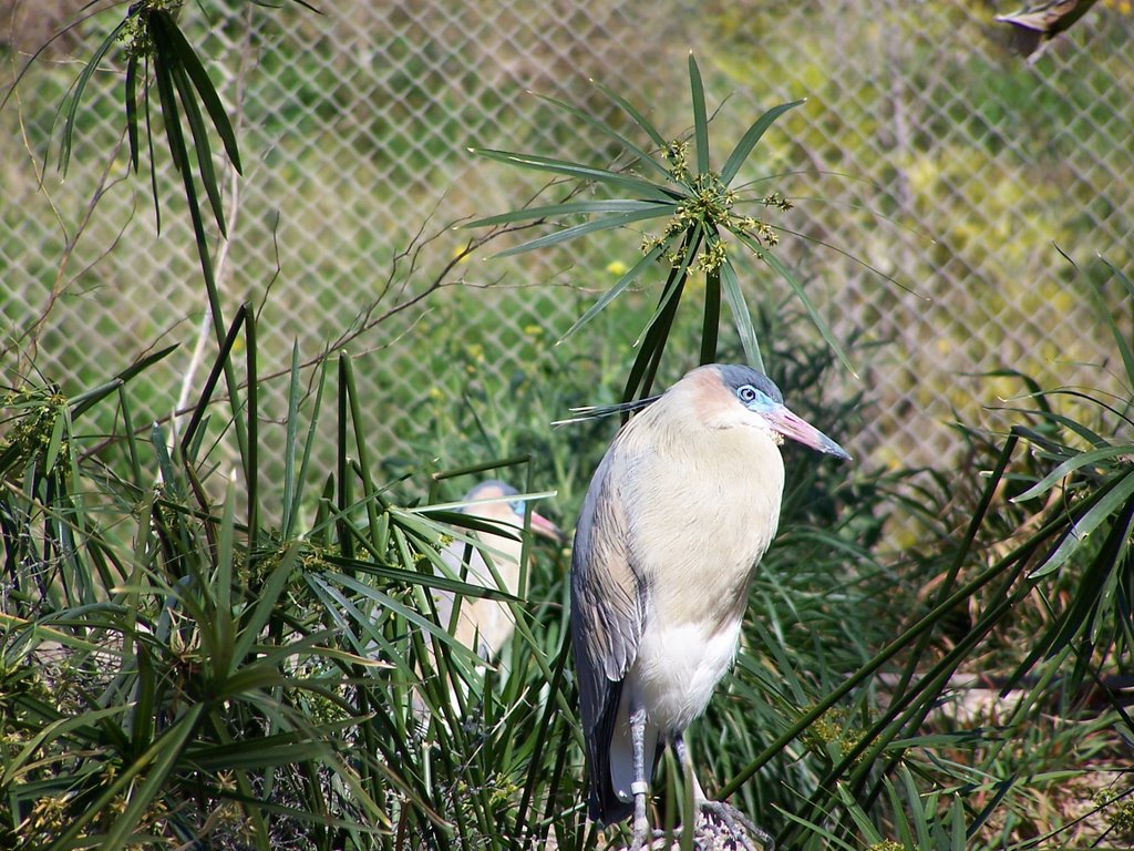 - Terra Natura by Fran Rives