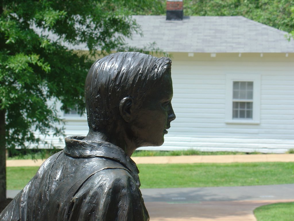 Elvis statue by jped62