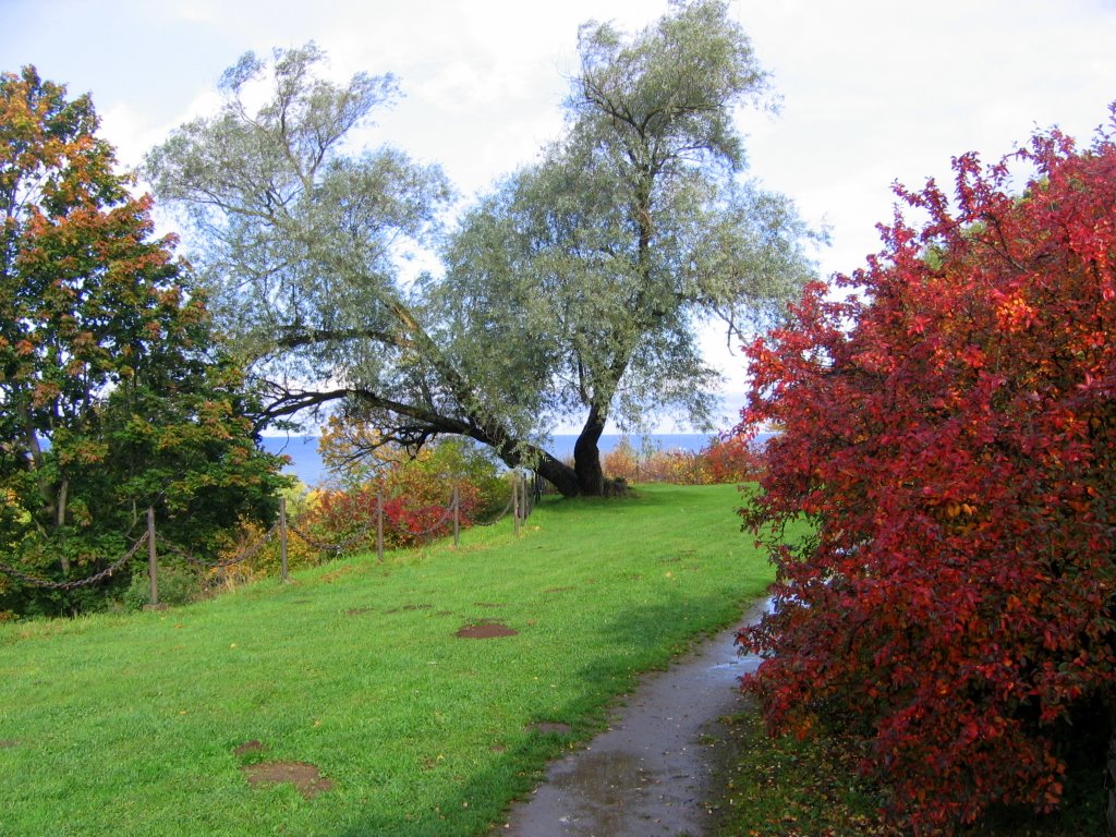 Toila. Oru park. Gulf of Finland by vipe