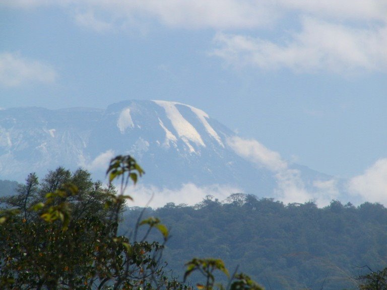 Kilimanjaro by Marleen Horsten