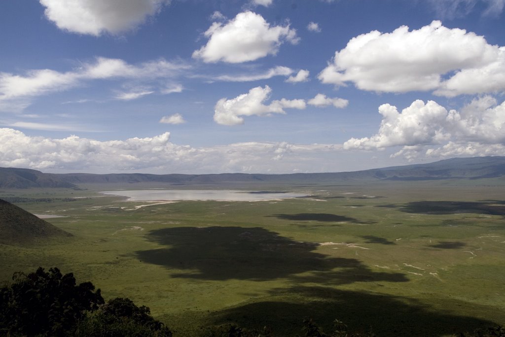 Panorama sul cratere del Ngoro Ngoro - Tanzania by Marco Cavani