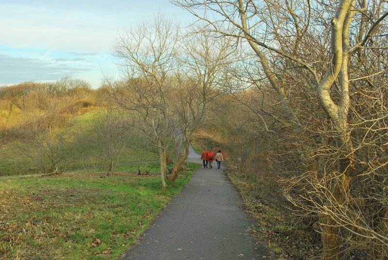 Vogelwijk, Den Haag, Netherlands by Joe Cost Budde