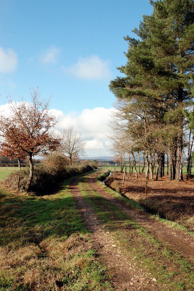 From the Abragan-Lago road by Colin Hughes