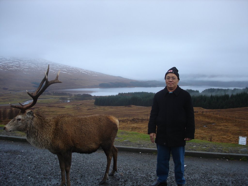 Rannoch Moor, National Park, Glencoe by drshaiful