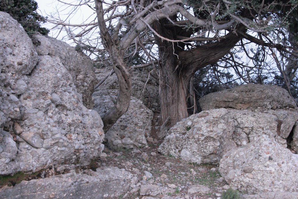 Selge Yolu by Ali Cem GüLLüADA (by…