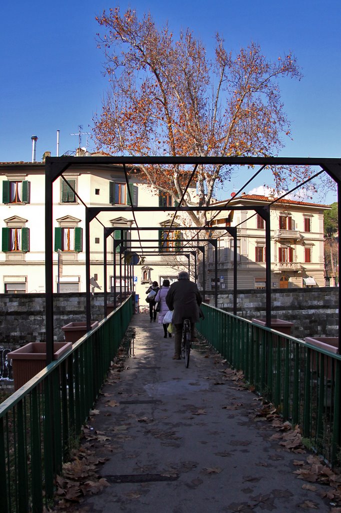 Ponte ingresso giardino dell'orticoltura by pietro.ricciardi