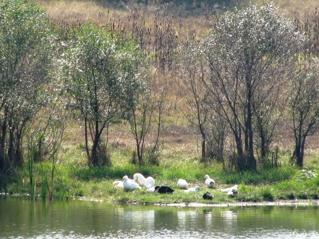 Bolu, Reflections on the lake by ♪ Silver Moon