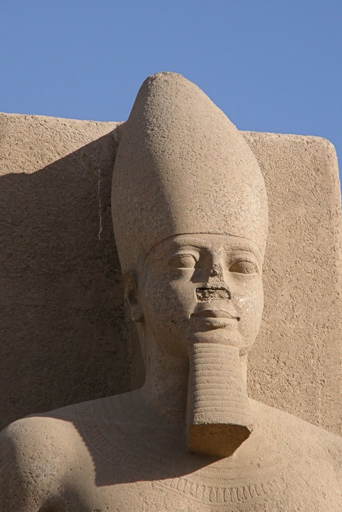 Ramses II at Memphis by Marilyn Whiteley