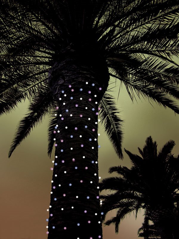 Christmas in California by Beatrix M Kalman