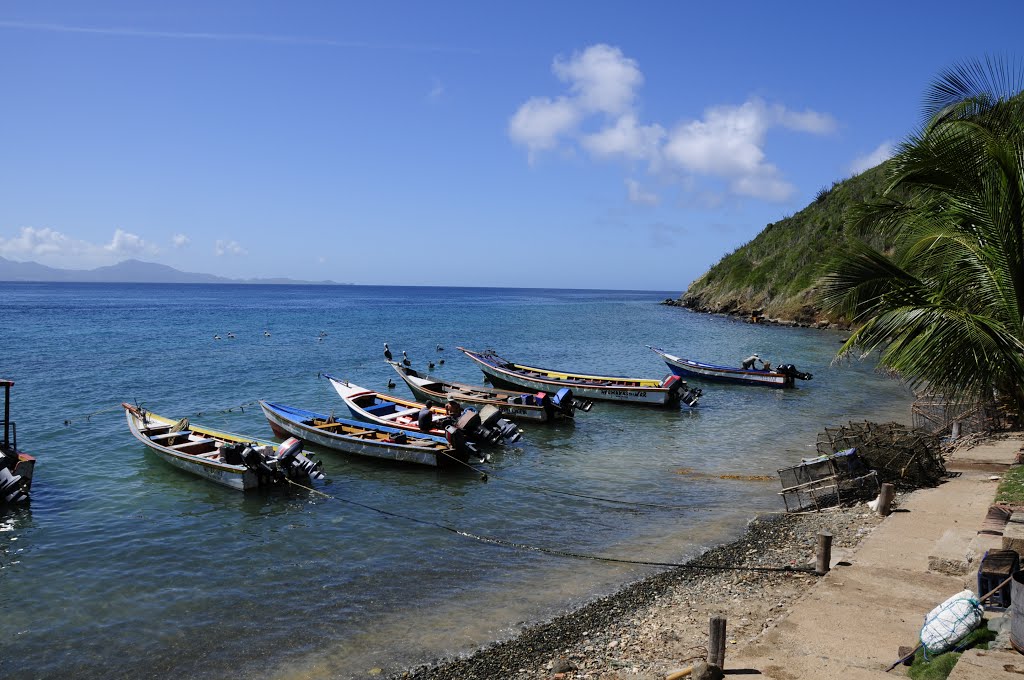 Isla Los Frailes - Margarita - giubin.com by giubin