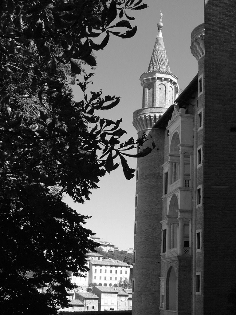 Urbino - palazzo ducale by alder