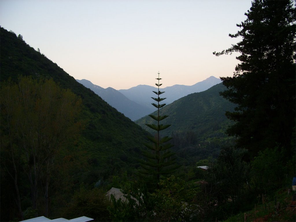 Olmué . Quebrada Alvarado by Fco Javier Frigerio