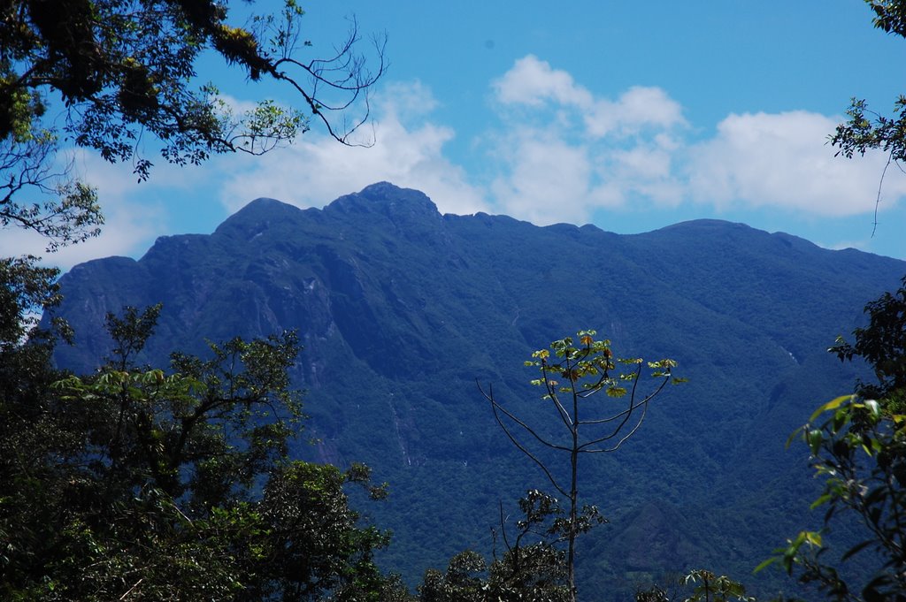 'conjunto marumbi visto do salto dos macacos , morretes , pr , brasil " by edson rosa