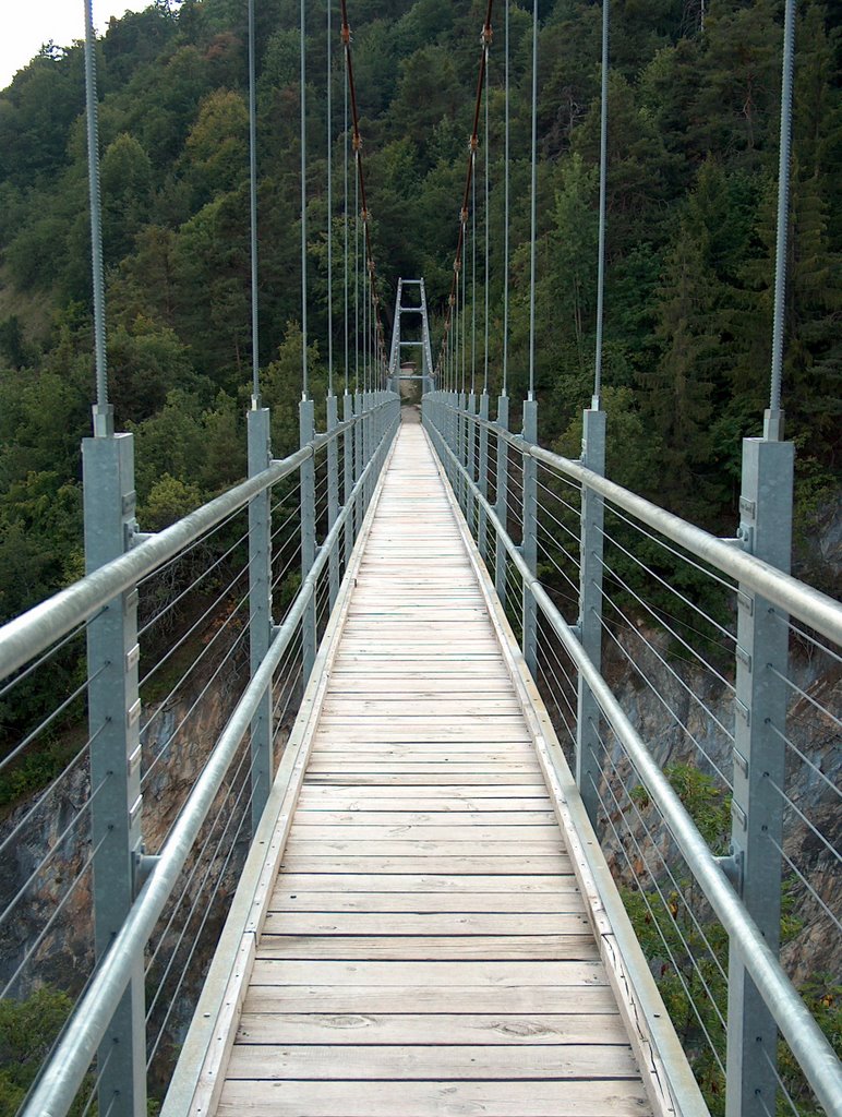 Passerelle à Farinet by Jungo Jean-Marc