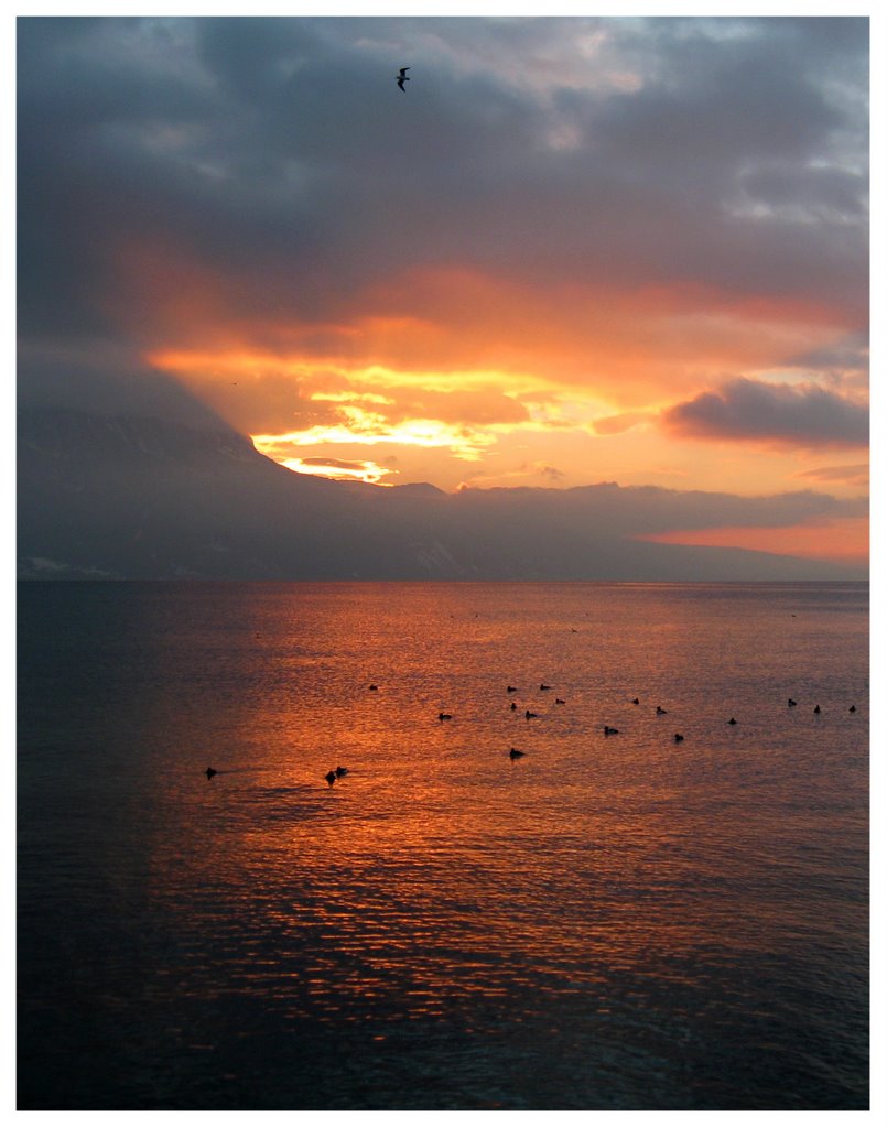 Coucher de soleil à Vevey by ortelli