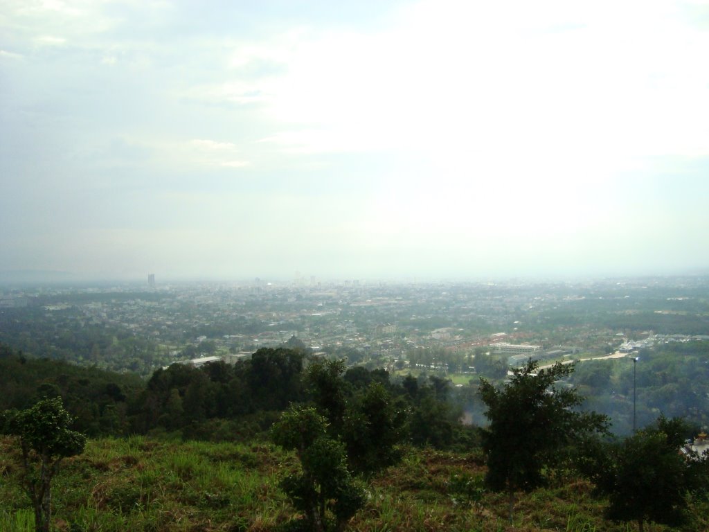 Bird's eye view of hatyai city from its park by paddey