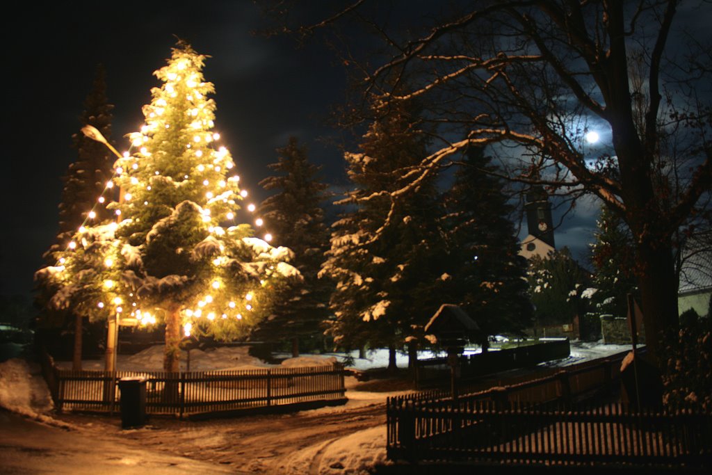 Weihnachtsbaum by Röthenbacher