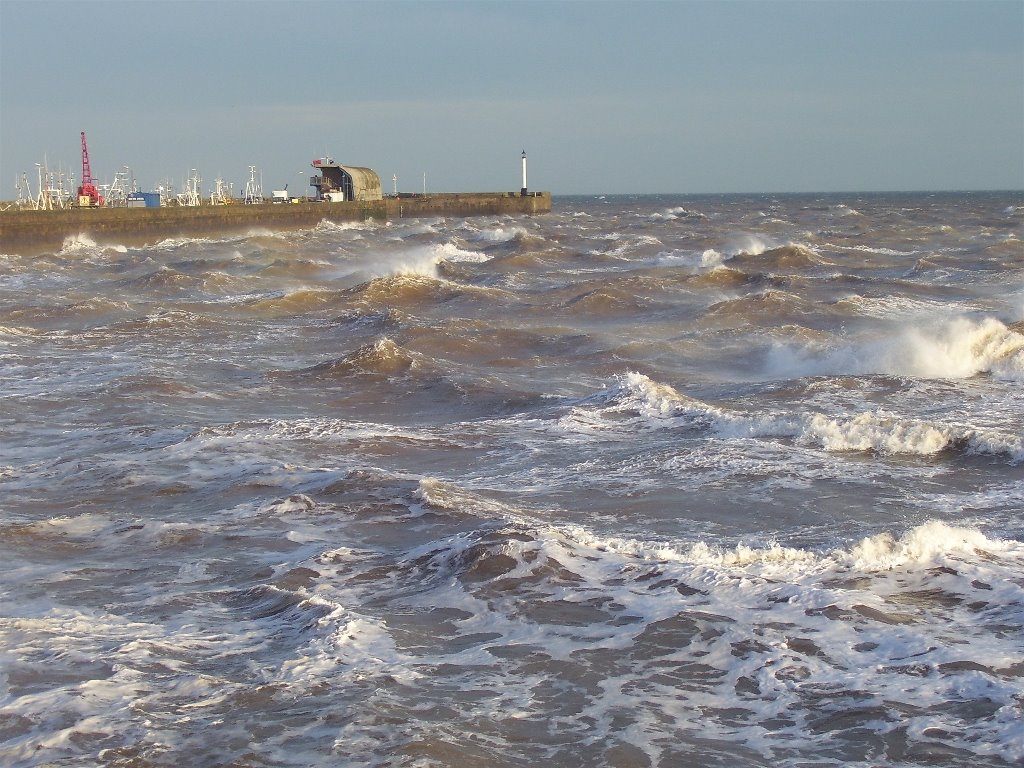 Brid on a windy day by Phill Burton