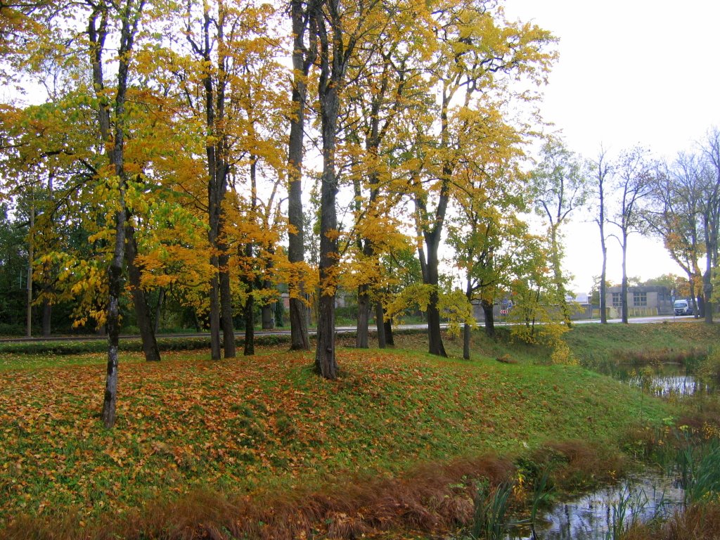 Põltsamaa. Viljandi road by vipe